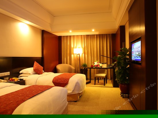 高级双床房