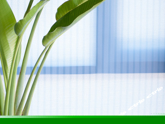 摩登工业六人房