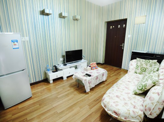 豪华一房一厅小套