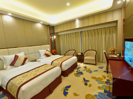 高级双床间
