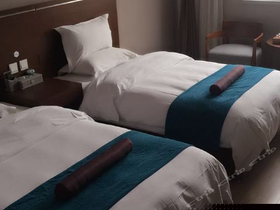 普通双床房