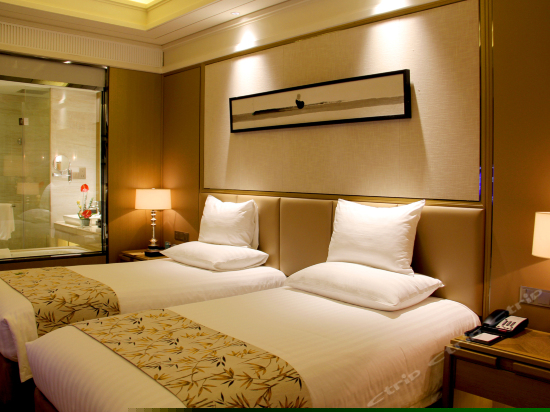 高级市景双床房