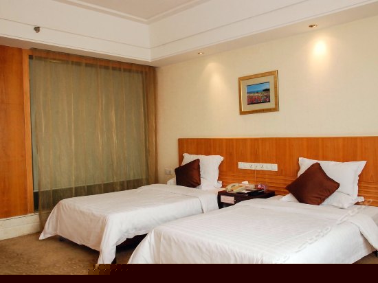 豪华行政双人房