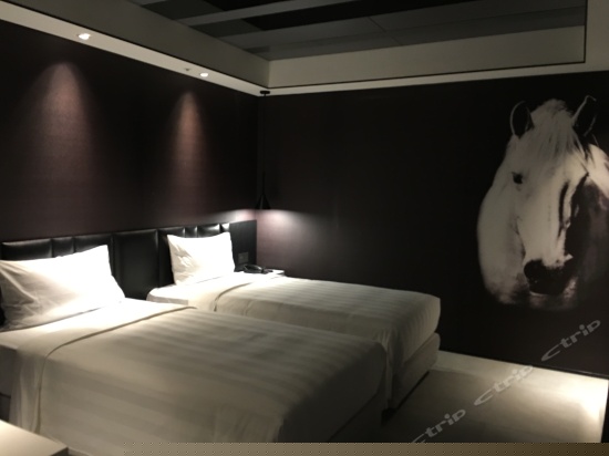 舒适双床房（无窗）