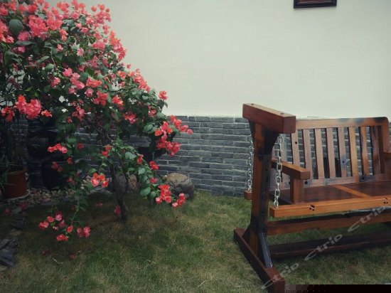 阳光庭院观景大床房