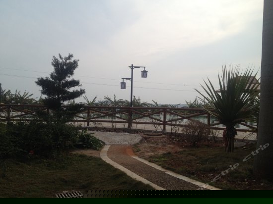 高级园景双人房