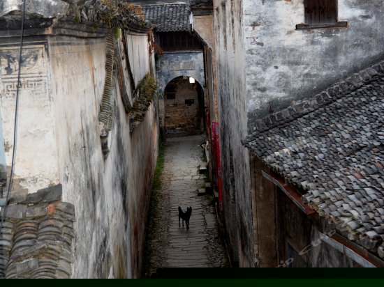 周边图片