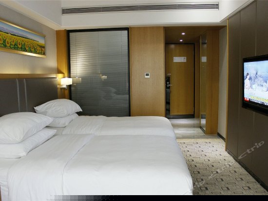 行政标准双床房