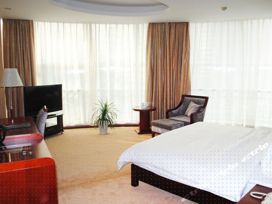 豪华商务单人间