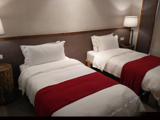 绿篱庭院家庭房