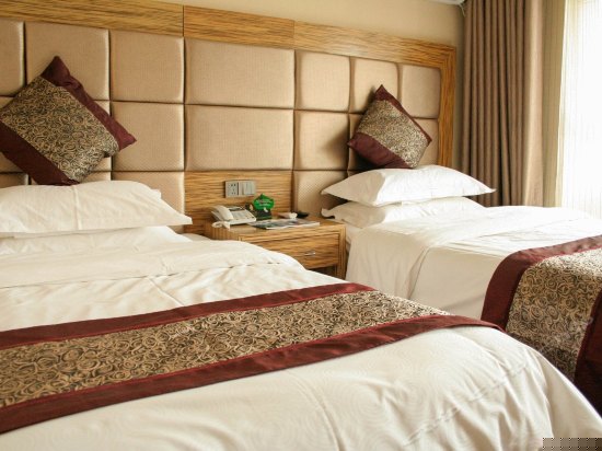 高级商务双人房