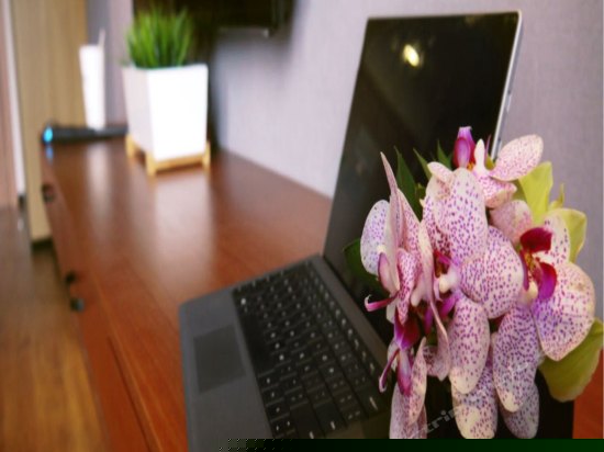 精品商务大床房