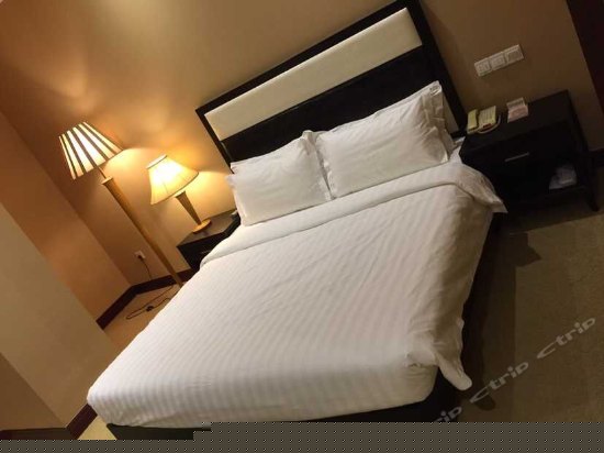 特惠房（无窗）