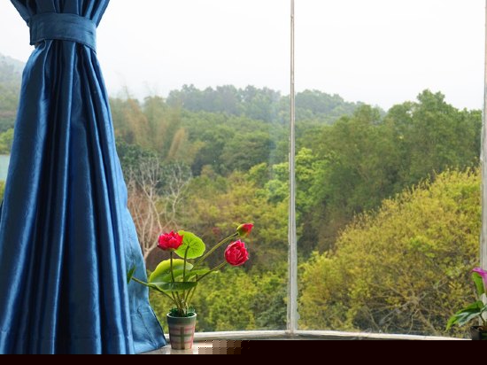 豪华观景双床房