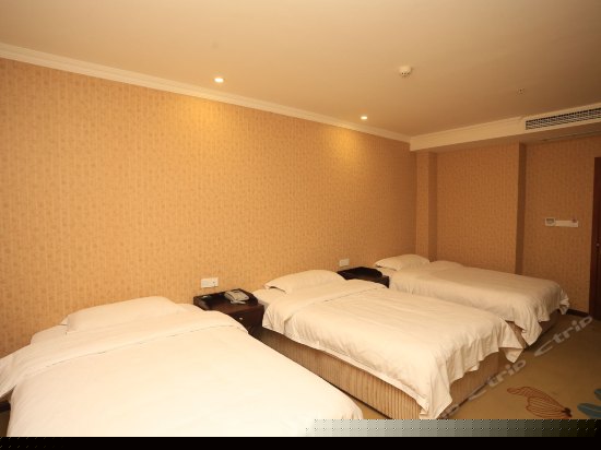 三人间（无窗）