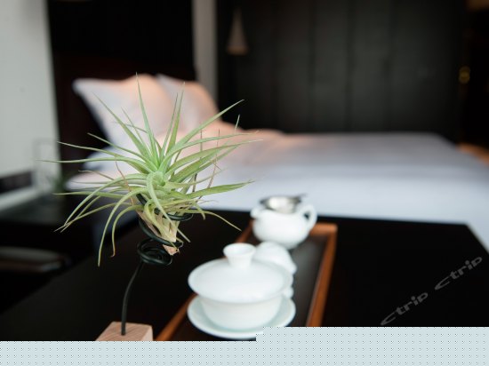 东舍雅致大床房