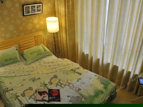 魔幻森林奇遇记