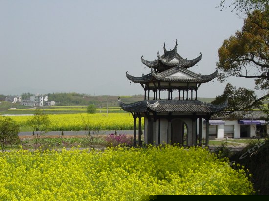 周边图片