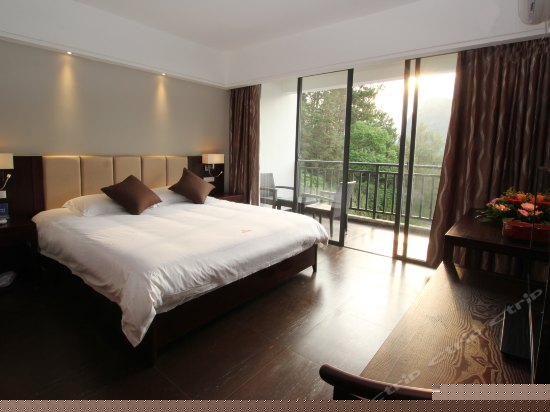 阅山阳台大床房