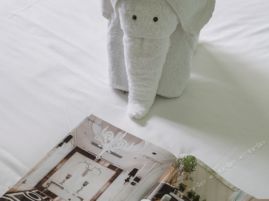 荷塘秋色母子房