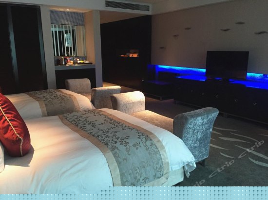 普通双床房（无窗）