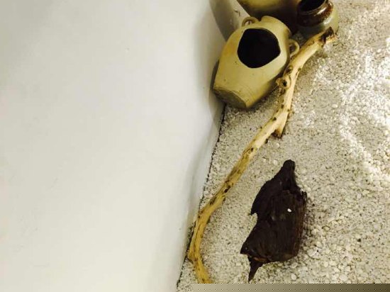 书香榻榻米艺术房绀青