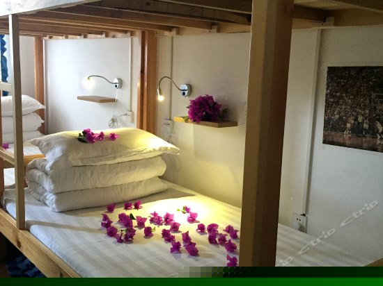 豪华女生8人间(床位)