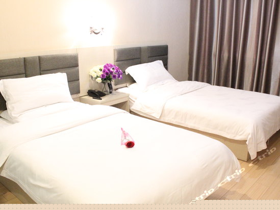 标准双人房