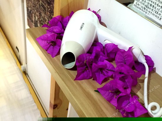 豪华女生6人间(床位)