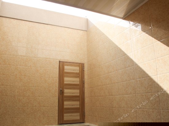 Vip豪华温泉双床间