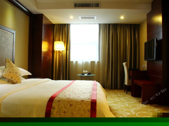 豪华套房(一房一厅)