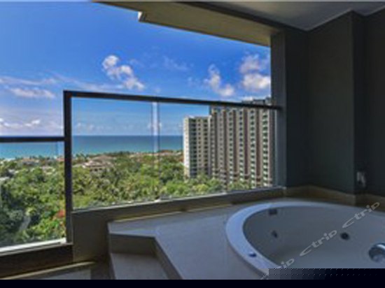 豪华海景一房一厅大床套房