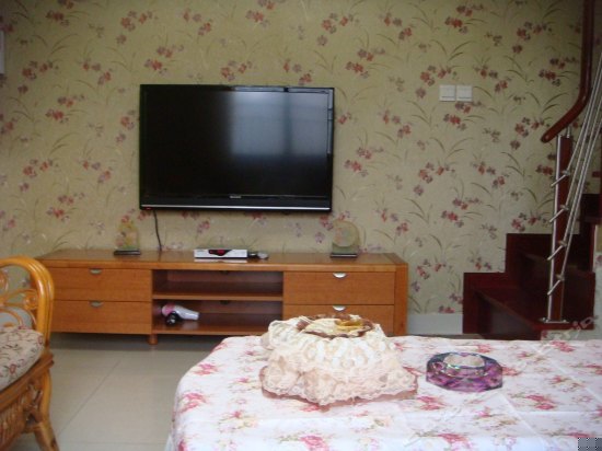 豪华跃层两房（田园风格）