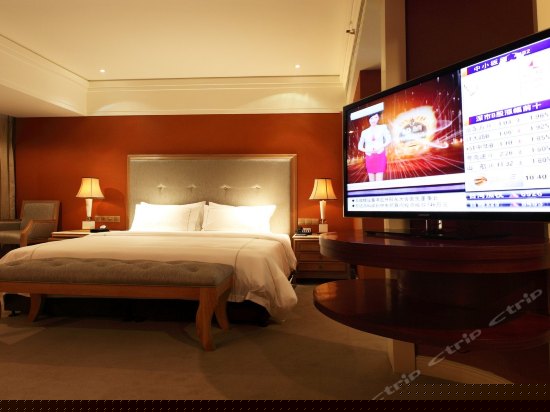 B座贵宾行政豪华单间