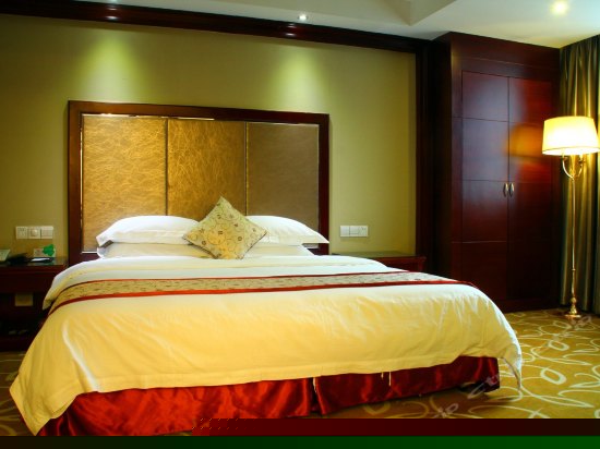 豪华套房(一房一厅)