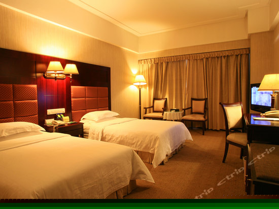 豪华双床房