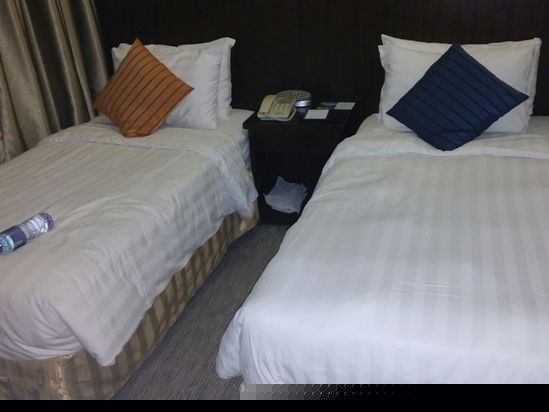 酒店房型