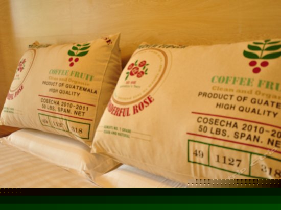 晴日湖景大床房