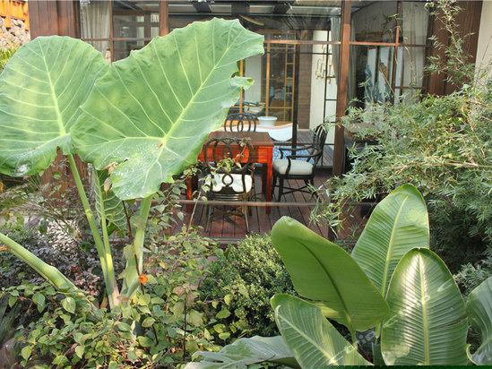 主题式庭院大床房