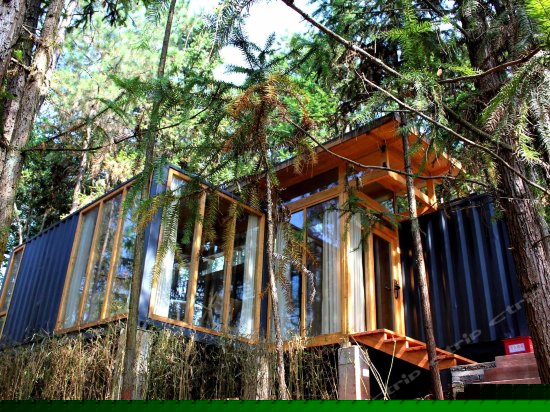 营地博览园杉林特色屋