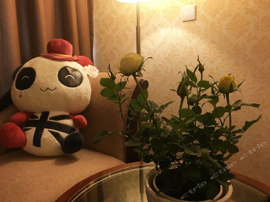 Ryner温馨熊猫房