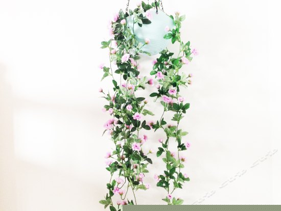 江景小萝莉女生四人间