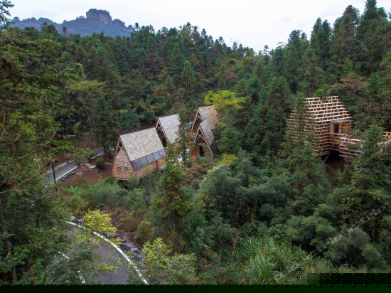 树屋世界伊甸园