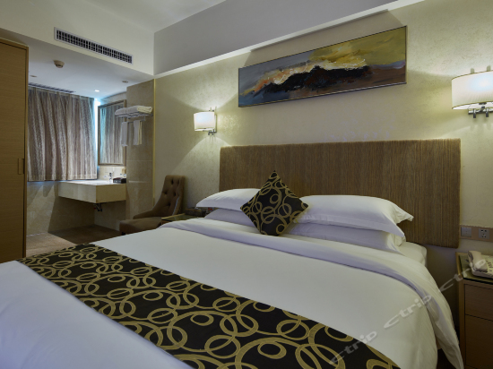 精品豪华单人房