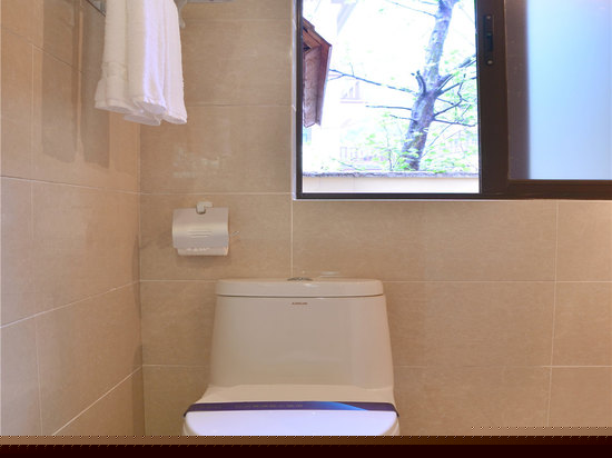 豪华山景单卧双床套房