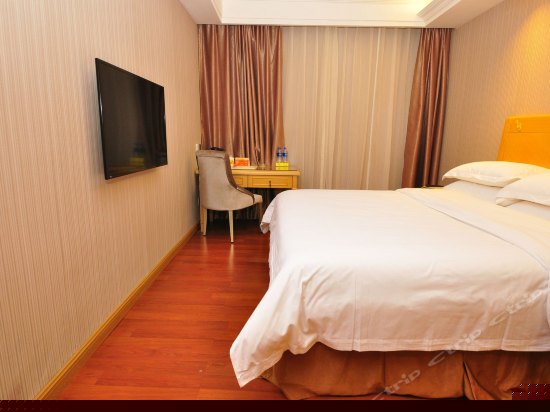 标准单人房(无窗)