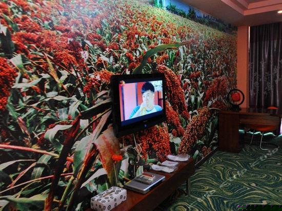 商务电动圆床房