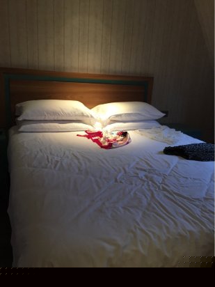 酒店房型