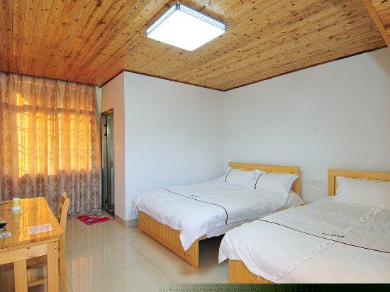 豪华标准双床房