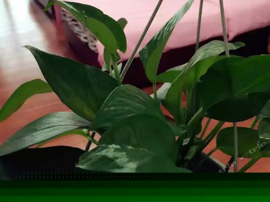 至尊海景大床房